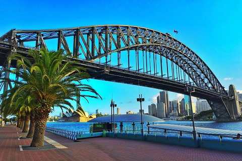 Sydney Half Day Tour With A Local: 100% Personalized & Private â˜…â˜…â˜…â˜…â˜… - Accommodation Cooktown 1