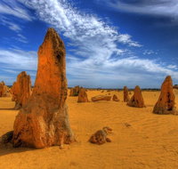 Pinnacles Desert  New Norcia Day Tour from Perth - Accommodation Cooktown