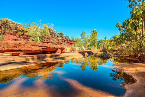 7-Day Guided Tour Of Alice Springs With Accommodation Included - Accommodation Cooktown 1
