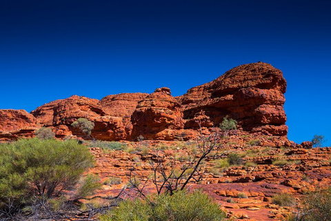 7-Day Guided Tour Of Alice Springs With Accommodation Included - Accommodation Cooktown 4