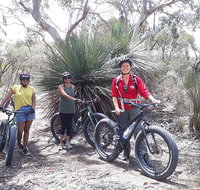 2 Hour Bike Tour in Kangaroo Island - Accommodation Cooktown