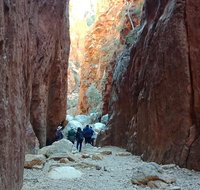 West MacDonnell Private Tour with Transfer - Accommodation Cooktown