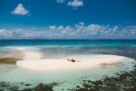 Private Helicopter Tour: Reef Island Snorkeling And Gourmet Picnic Lunch - Accommodation Cooktown 4