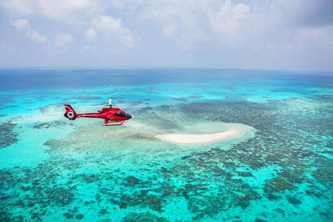 Private Helicopter Tour: Reef Island Snorkeling And Gourmet Picnic Lunch - Accommodation Cooktown 5