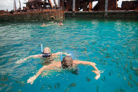 Moreton Island Snorkel And Sandboarding 4WD Day Trip From Brisbane - Accommodation Cooktown 0