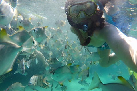 Moreton Island Snorkel And Sandboarding 4WD Day Trip From Brisbane - Accommodation Cooktown 3