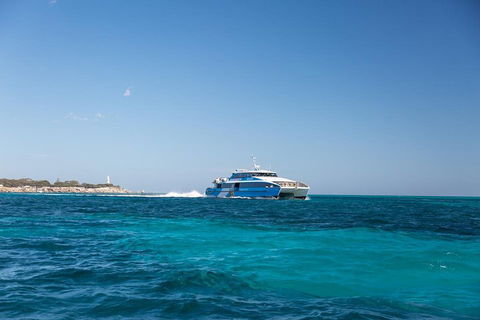 Fremantle To Rottnest Island Roundtrip Ferry Ticket - Accommodation Cooktown 5