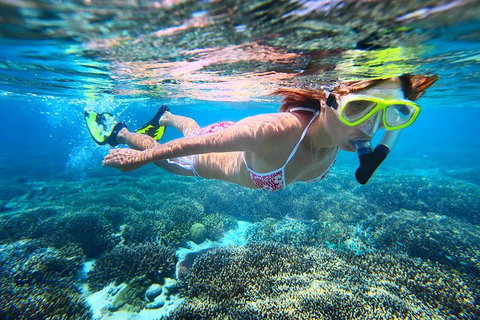 Abrolhos Islands Scenic Flight & Snorkel Adventure From Perth - Accommodation Cooktown 1