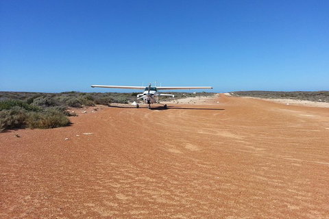 Abrolhos Islands Scenic Flight & Snorkel Adventure From Perth - Accommodation Cooktown 3