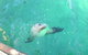Abrolhos Islands Scenic Flight & Snorkel Adventure From Perth - thumb 5