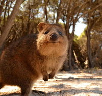 Wave Rock  Rottnest Island - Air  Ground Tour - Accommodation Cooktown