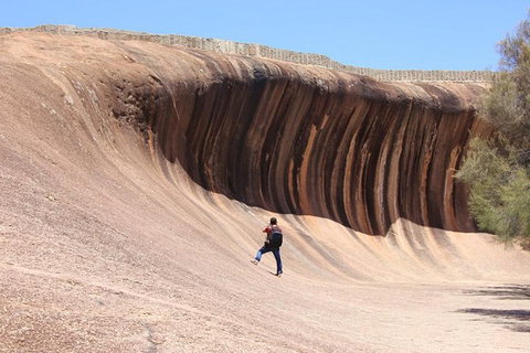 Wave Rock Half Day Air & Ground Tour - Accommodation Cooktown 3