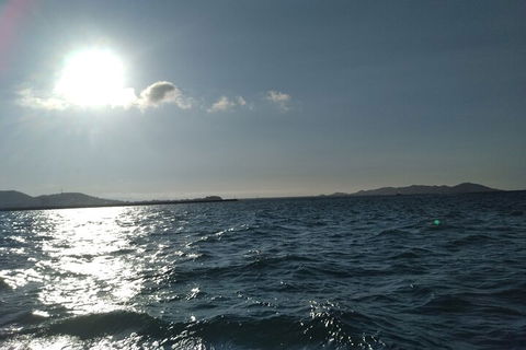 Townsville Small Group Early Morning Sailing Cruise Boat Tour Charter Hire - Accommodation Cooktown 4