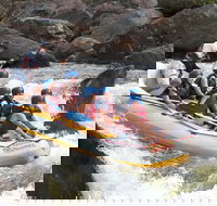 Barron River Half-Day White Water Rafting from Cairns - Accommodation Cooktown