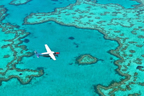 Fly & Sail Package (With Providence) - Accommodation Cooktown 4