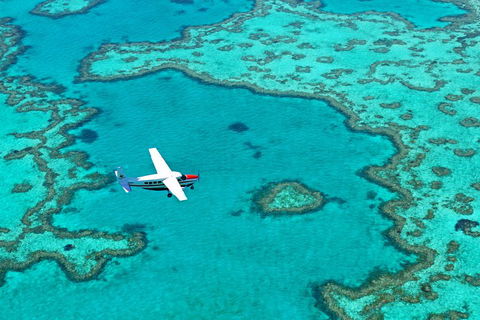 Reef And Island Scenic Flight From Airlie Beach - Accommodation Cooktown 4