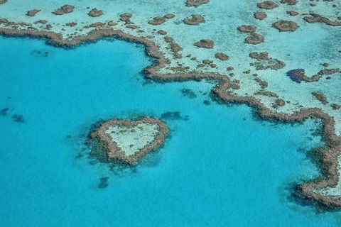 Reef And Island Scenic Flight From Airlie Beach - Accommodation Cooktown 5