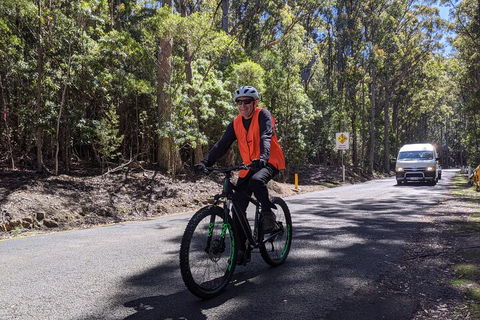 Mount Wellington Descent Cycling Tour Departs Hobart - Accommodation Cooktown 3