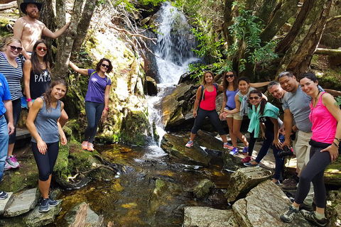 7-Day Super Value Tour Of Tasmania: Explore Tasmania's West And East Coasts - Accommodation Cooktown 2