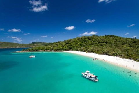 Whitehaven Beach And Hill Inlet | Awesome Beach BBQ | Family Friendly - Accommodation Cooktown 3