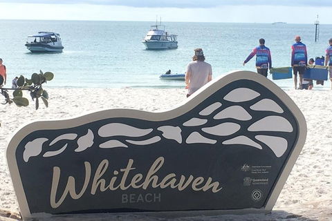 Whitehaven Beach And Hill Inlet | Awesome Beach BBQ | Family Friendly - Accommodation Cooktown 5