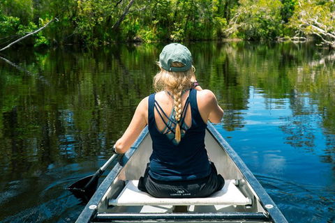 Cruise 'n' Canoe To Australia's Everglades - Accommodation Cooktown 0