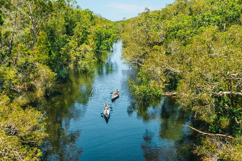 Cruise 'n' Canoe To Australia's Everglades - Accommodation Cooktown 3