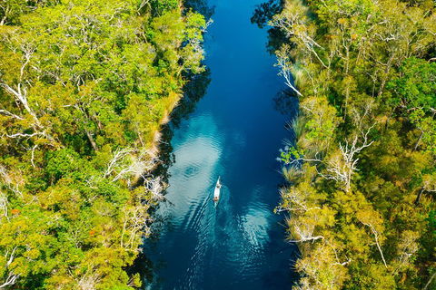 Cruise 'n' Canoe To Australia's Everglades - Accommodation Cooktown 4