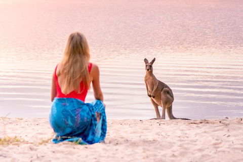 Cruise 'n' Canoe To Australia's Everglades - Accommodation Cooktown 5