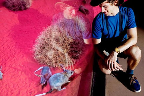 Alice Springs Desert Park General Entry Ticket - Accommodation Cooktown 0