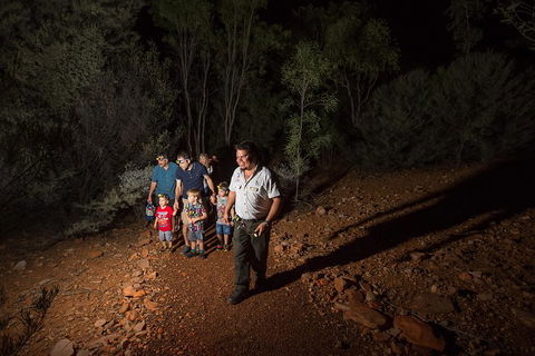 Alice Springs Desert Park Nocturnal Tour - Accommodation Cooktown 0