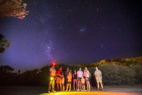 Alice Springs Desert Park Nocturnal Tour - Accommodation Cooktown 2