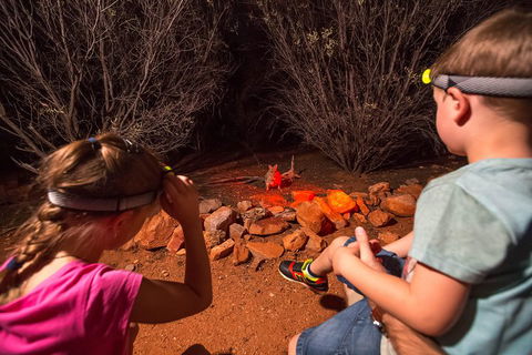 Alice Springs Desert Park Nocturnal Tour - Accommodation Cooktown 4