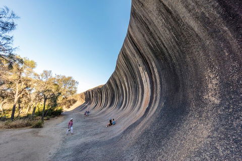 Full-Day Wave Rock & Historic York - Accommodation Cooktown 0