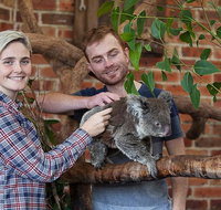 Private Tour Blue Mountains Day Trip from Sydney - Accommodation Cooktown