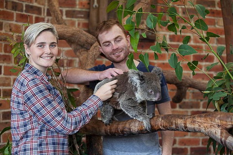 Private Tour: Blue Mountains Day Trip From Sydney - Accommodation Cooktown 0