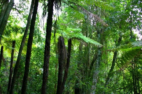Private Tour: Blue Mountains Day Trip From Sydney - Accommodation Cooktown 4