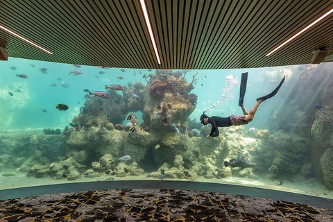 Whitehaven Beach And Daydream Island Cruise - Accommodation Cooktown 4