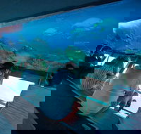 Great Barrier Reef Day Cruise to Reefworld - Accommodation Cooktown