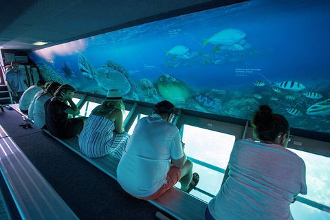 Great Barrier Reef Day Cruise To Reefworld - Accommodation Cooktown 0