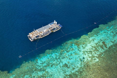 Great Barrier Reef Day Cruise To Reefworld - Accommodation Cooktown 2