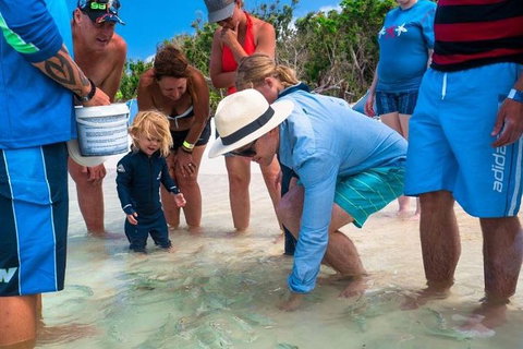 Whitehaven Beach And Hamilton Island Cruise - Accommodation Cooktown 1