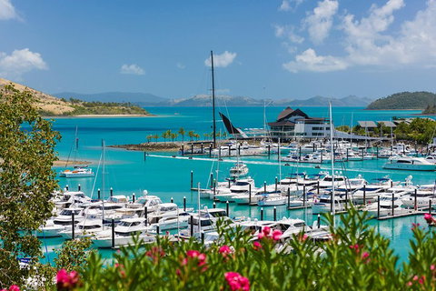 Whitehaven Beach And Hamilton Island Cruise - Accommodation Cooktown 3