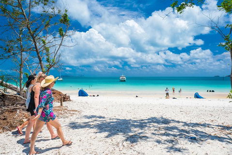 Whitehaven Beach Half-Day Cruises - Accommodation Cooktown 1