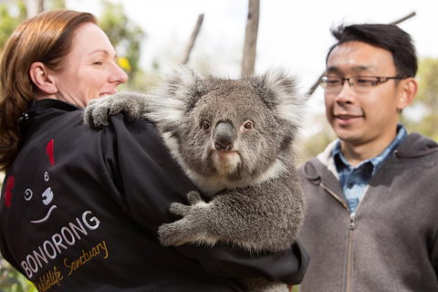 Bonorong Wildlife Park And Richmond Afternoon Tour From Hobart - Accommodation Cooktown 0
