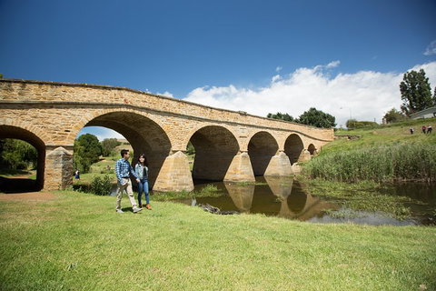 Bonorong Wildlife Park And Richmond Afternoon Tour From Hobart - Accommodation Cooktown 2