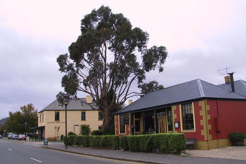 Bonorong Wildlife Park And Richmond Afternoon Tour From Hobart - Accommodation Cooktown 3