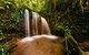 Paronella Park Admission Ticket - thumb 5