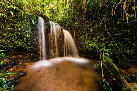 Paronella Park Admission Ticket - Accommodation Cooktown 5