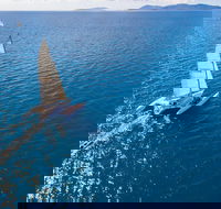 2-Night Whitsunday Islands Sailing Adventure on Trimaran Avatar - Accommodation Cooktown